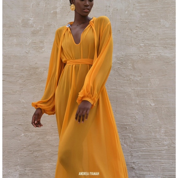 Andrea Iyamah Sade cover up dress - Picture 2 of 12